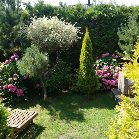 Domek letniskowy Cyprys