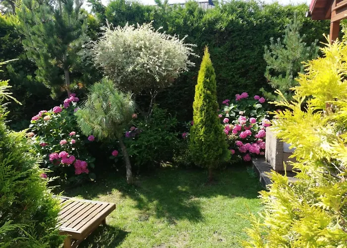 Domek letniskowy Cyprys